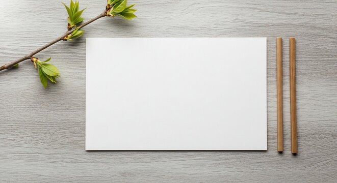 Blank paper with pencils and plant branch on wooden table.