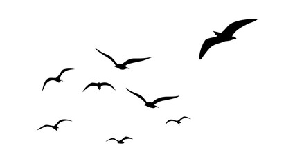 Flock of Birds in Flight flying silhouette