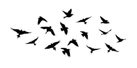 Flock of Birds in Flight flying silhouette