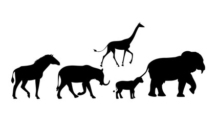 Majestic Stag Silhouette deer animal