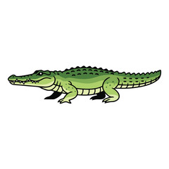 crocodile isolated on white