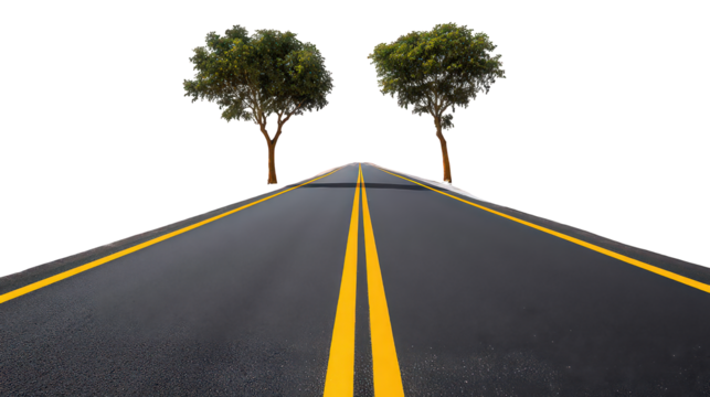 Asphalt Road With Yellow Lines and Two Green Trees on Black Background