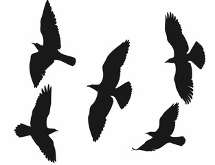 birds flying in formation against clear sky