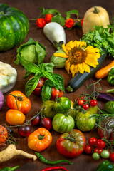Vibrant display of fresh veggies and herbs