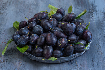 Freshly harvested dark plums in woven basket