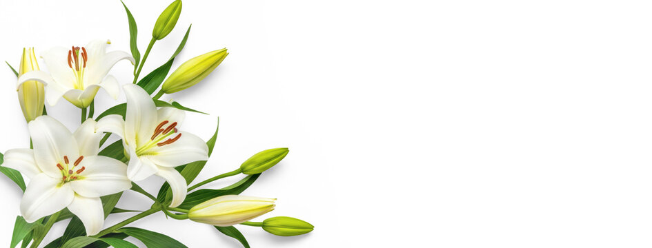 White lily flowers bouquet on white background, floral border for wedding invitation or funeral card, elegant nature concept for spring
