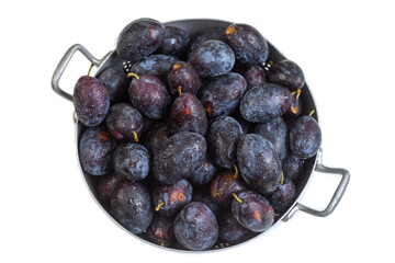 Freshly harvested dark plums in a metal bowl
