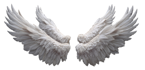 Pair of detailed white angel wings