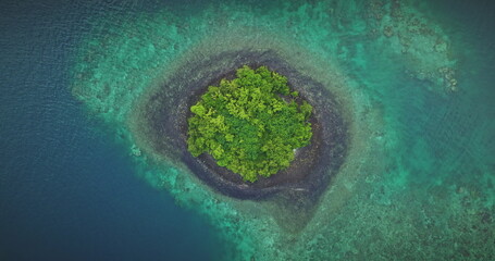 Lush green vegetation covers small tropical island and vibrant coral reef in crystal clear turquoise ocean water, creating a breathtaking aerial view. Amazing nature travel background. Zoom out flight