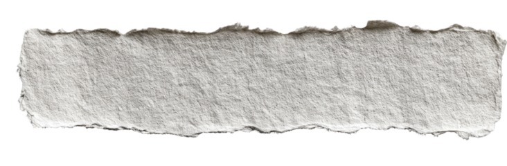 A torn piece of off-white paper