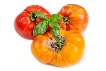 Fresh tomatoes with basil on a white background