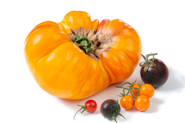 Colorful tomatoes arranged on a white background