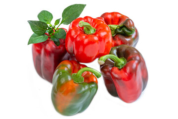 Fresh bell peppers arranged on a white background