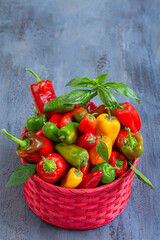 Fresh peppers gathered in a vibrant basket display