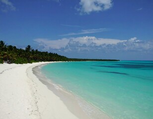 Pristine white sand beach curves gently into turquoise ocean under a vibrant blue sky; palm trees line the shore