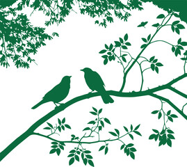 Fototapeta premium Two green silhouette birds perched on a branch tree