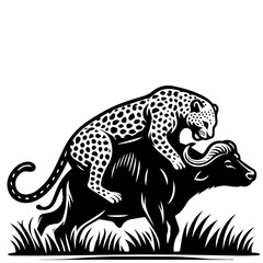 A monochrome illustration of a leopard riding on the back of a buffalo in a grassy environment scene