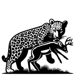 Jaguar with spots carrying a deer in its mouth standing on grass in a black and white illustration