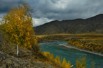 Russia. The South of Western Siberia, Altai Mountains. Only in the middle of autumn, when the mountain glaciers stop melting, the water in the Katun River becomes transparent and rich turquoise color.