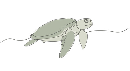 Fototapeta premium Simple line drawing of a sea turtle swimming gracefully through clear blue ocean water