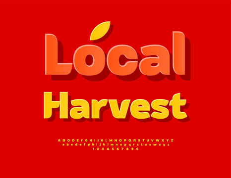 Vector Seasonal emblem Local Harvest. Yellow Sticker Font. Stylish Alphabet Letters and Numbers set.