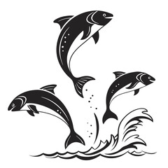 Obraz premium Vector art of three salmon fish jumping out of the water, a dynamic and eyecatching illustration, perfect for nature and wildlife themes