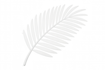 Pristine white palm leaf floating against transparent backdrop, symbolizing tropical elegance and minimalist summer design aesthetic
