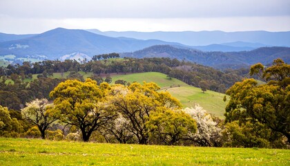 Rolling hills with trees under a cloudy sky
