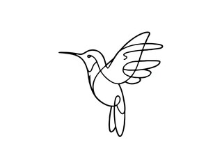 Fototapeta premium Hummingbird Flying Elegant Outline, Isolated White Background