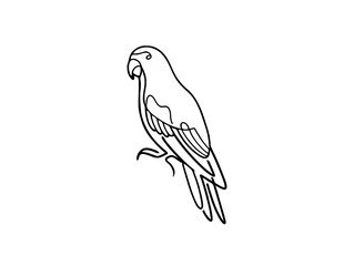 Obraz premium Parrot Perching, Minimalist Outline on White