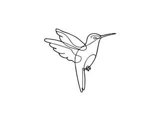 Obraz premium Hummingbird Flying Elegant Outline, Isolated White Background