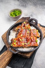 Japanese Cuisine Unadon, grilled unagi eel with rice in a skillet. white background. top view