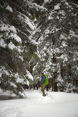 Hiking through a snowy forest with a backpack during winter. Winter hiking in Carpathian Mountains,...