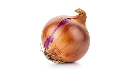 A single fresh brown onion with visible purple layers and roots, isolated on a white background. Essential ingredient for cooking.