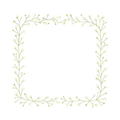 Gypsophila (Baby’s Breath) Floral Square Frame — Transparent Background