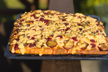 fruit yeast cake with crumble,drożdżowe ciasto owocowe z kruszonką © Piotr