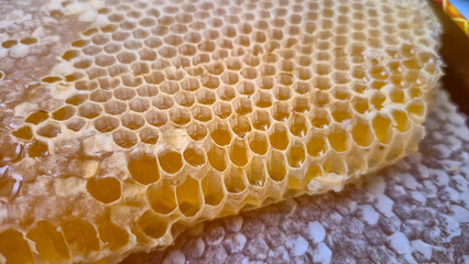 Honey dripping from honey comb on nature background, close up. Fresh honey dripping from the honeycombs. Healthy food concept and diet