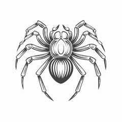 Spider Tarantula Vector. Tarantula logo illustration design vector on white background.