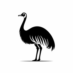 Emu Ostrich image vector. Black and white Emu Ostrich image on white background.