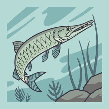 Alligator Gar Fish Cartoon Vector Illustration Isolated on White Background