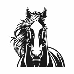 Equestrian Vector Images. Front View Equestrian Vector Images on white background.