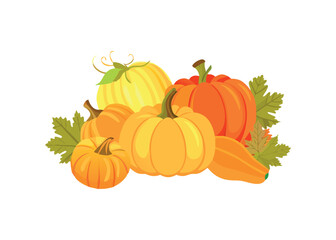 Autumn harvest of assorted pumpkins and squash with leaves on transparent background