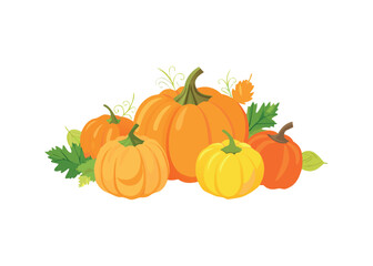 Assortment of Autumn Pumpkins and Leaves on Transparent Background