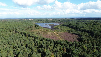 Fototapeta premium Scenic drone view of Delamere Forest, Cheshire, with treetops and countryside trails.