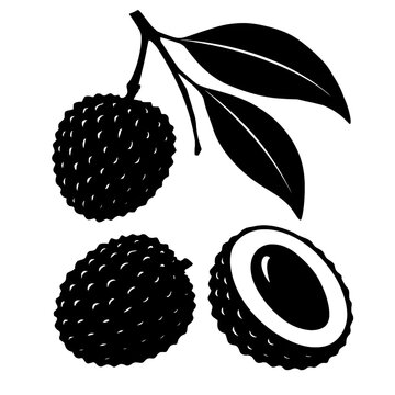 A lichi fruit silhouette vector style
