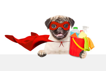 Funny Pug puppy wearing superhero costume holds bucket with washing fluids above blank white banner. Empty space for text. Isolated on white background