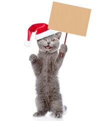 Happy winking cat wearing red christmas hat shows blank placard. Empty space for text. isolated on white background