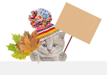 Cute kitten wearing a warm hat with pompon holding dry colorful leaves and looking above blank banner and showing blank placard on wooden stick. isolated on white background
