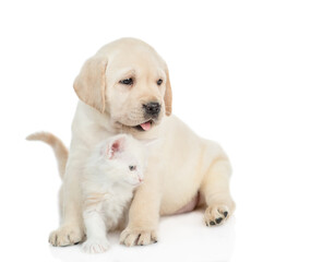 Friendly Golden retriever puppy hugs a tiny  maine coon kitten. Pets look away on empty space...