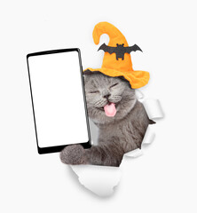 Funny cat with tongue out wearing hat for halloween holding big smartphone with white blank screen in it paw and looking through torn white paper hole. Empty free space for mock up